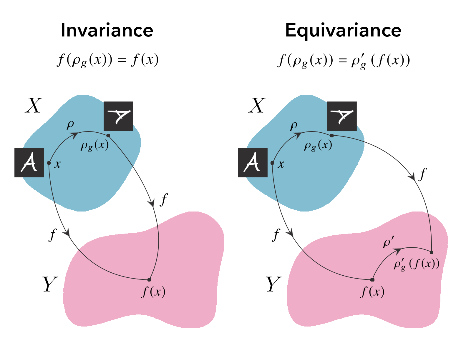 Symmetry Group Equivariant Architectures for Physics